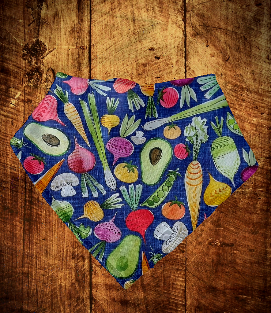 Vegetables - Bandanna Bib